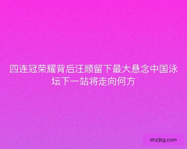 四连冠荣耀背后汪顺留下最大悬念中国泳坛下一站将走向何方
